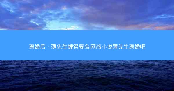 离婚后，薄先生缠得要命;网络小说薄先生离婚吧