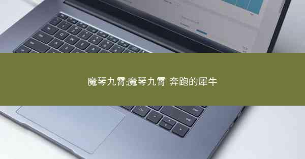 魔琴九霄;魔琴九霄 奔跑的犀牛