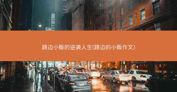 路边小贩的逆袭人生(路边的小贩作文)