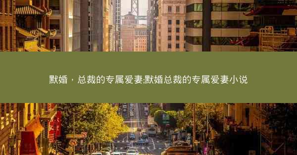 默婚，总裁的专属爱妻;默婚总裁的专属爱妻小说