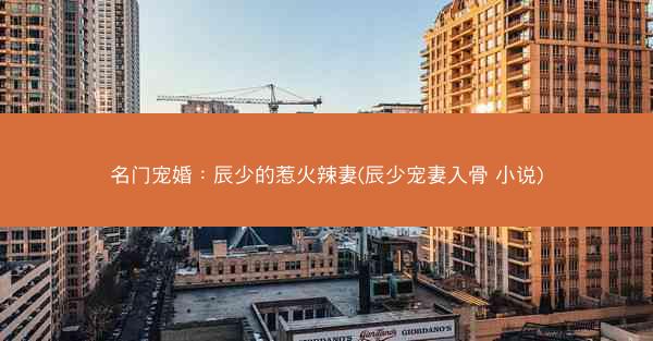 名门宠婚：辰少的惹火辣妻(辰少宠妻入骨 小说)