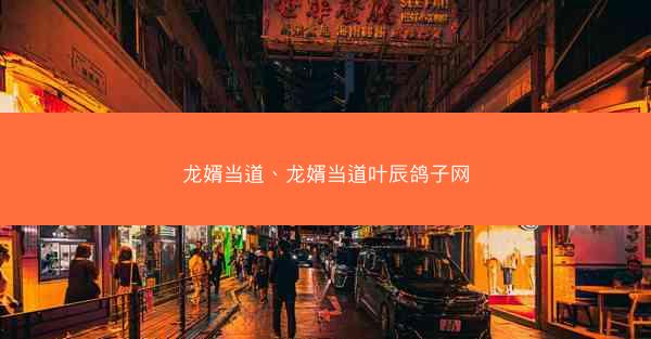 龙婿当道、龙婿当道叶辰鸽子网