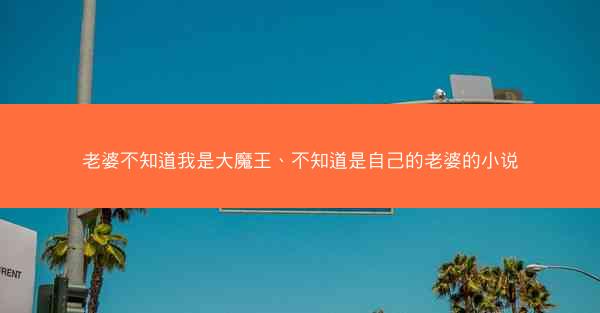 老婆不知道我是大魔王、不知道是自己的老婆的小说