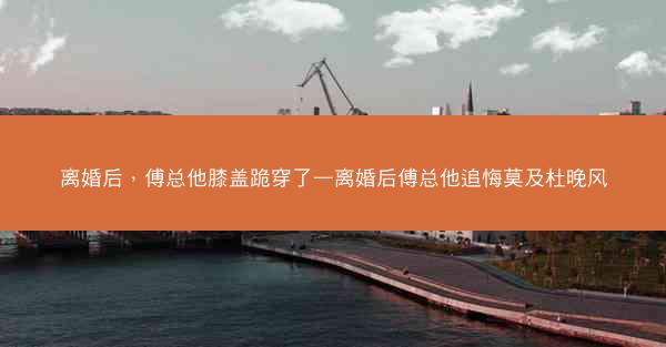 离婚后，傅总他膝盖跪穿了—离婚后傅总他追悔莫及杜晚风