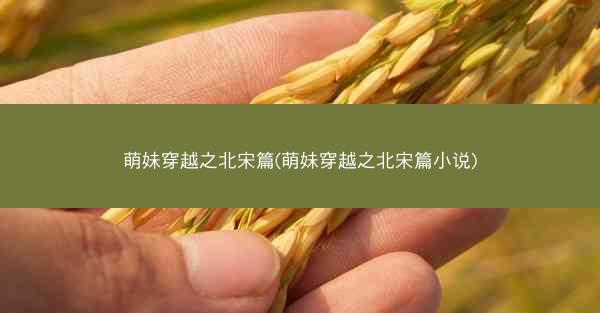 萌妹穿越之北宋篇(萌妹穿越之北宋篇小说)