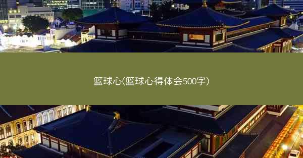 篮球心(篮球心得体会500字)