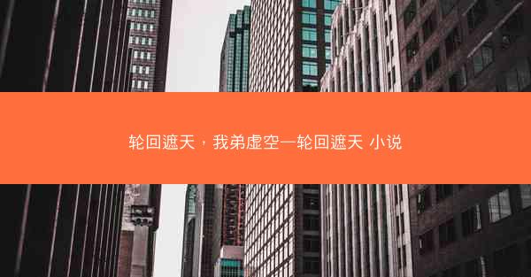 轮回遮天，我弟虚空—轮回遮天 小说