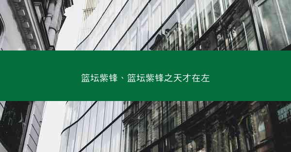篮坛紫锋、篮坛紫锋之天才在左