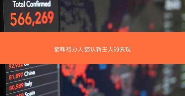 猫咪初为人,猫认新主人的表现