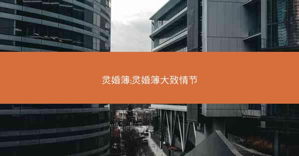 灵婚簿;灵婚簿大致情节