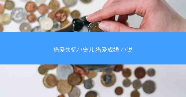 猎爱失忆小宠儿,猎爱成婚 小说