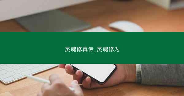 灵魂修真传_灵魂修为