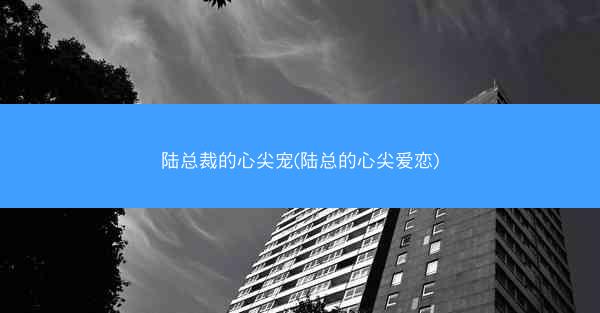 陆总裁的心尖宠(陆总的心尖爱恋)