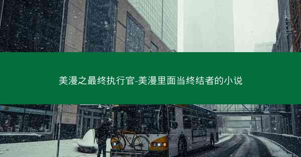 美漫之最终执行官-美漫里面当终结者的小说