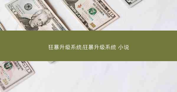 狂暴升级系统;狂暴升级系统 小说