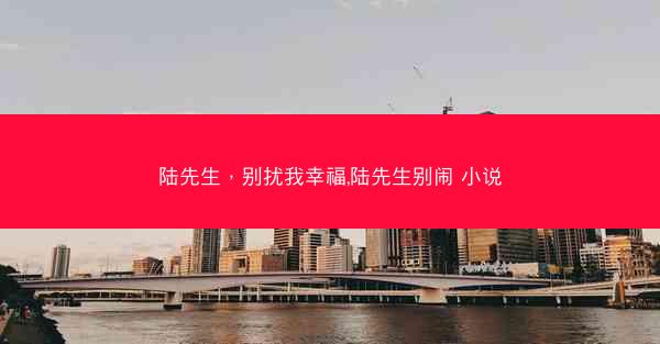 陆先生,别扰我幸福,陆先生别闹 小说 陆先生,别扰我幸福,陆先生别闹 小说