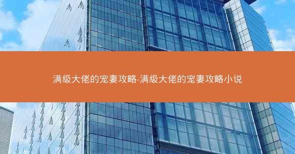 满级大佬的宠妻攻略-满级大佬的宠妻攻略小说