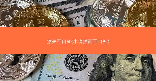 撩夫不自知(小说撩而不自知)