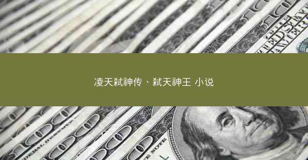 凌天弑神传、弑天神王 小说