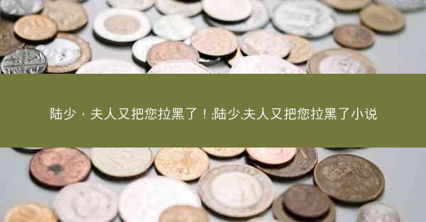 陆少，夫人又把您拉黑了！;陆少,夫人又把您拉黑了小说