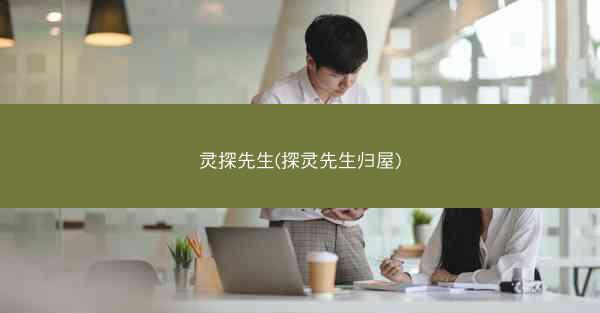 灵探先生(探灵先生归屋)