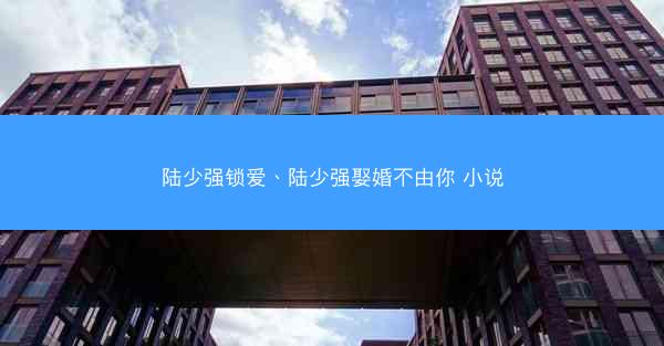 陆少强锁爱、陆少强娶婚不由你 小说 陆少强锁爱、陆少强娶婚不由你 小说